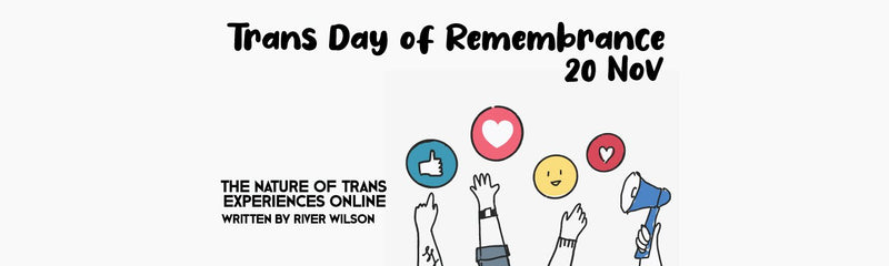 Trans Day of Remembrance | The Nature of Trans Experiences Online